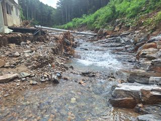 귀촌인정찬영님의 🌦 폭우 피해, 농민 분들 괜찮으신가요? 서로 위로의 말 나눠요 🤝 · 참여글 작성글 사진