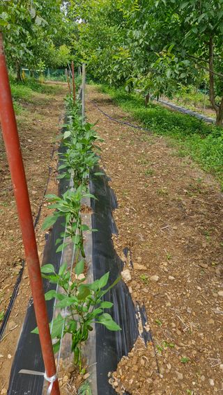 정석구님의 자유주제 · 자유게시판 작성글 사진