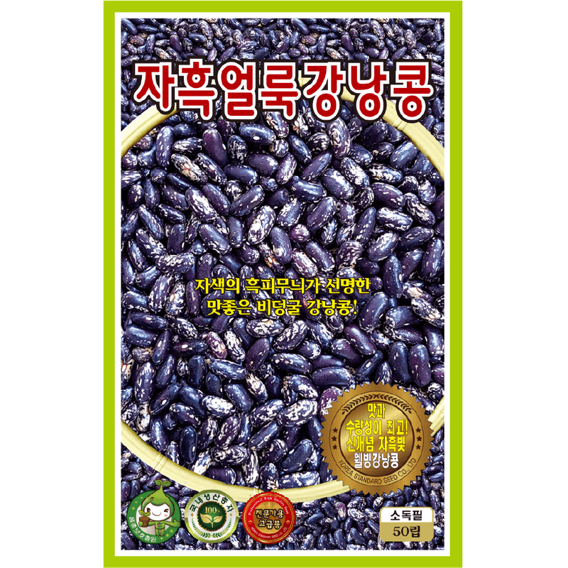 주주씨앗님의 장터 판매 상품 [[KS] 적피얼룩 비넝쿨성 강낭콩 30g / 강낭콩 씨앗] 첨부 사진