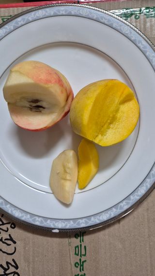 주화숙님의 작성글 사진