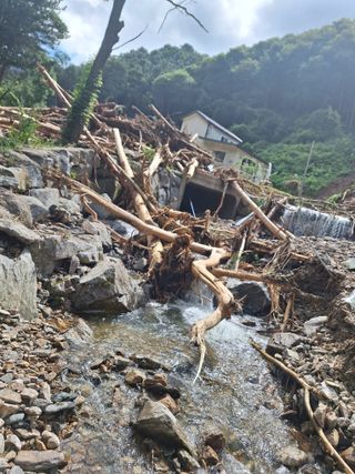 귀촌인정찬영님의 🌦 폭우 피해, 농민 분들 괜찮으신가요? 서로 위로의 말 나눠요 🤝 · 참여글 작성글 사진