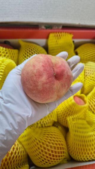 주화숙님의 작성글 사진