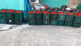 이창우님의 자유주제 · 자유게시판 작성글 사진