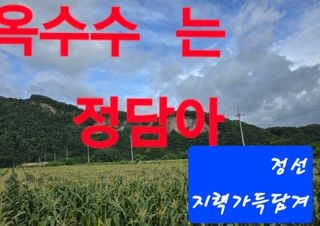 장관덕님의 자유주제 · 자유게시판 작성글 사진