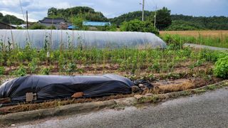 아로니아체리농부유튜님의 작성글 사진