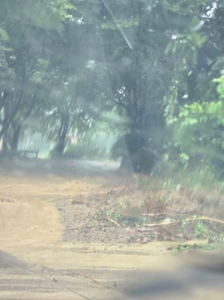 판넬공작사님의 🌦 폭우 피해, 농민 분들 괜찮으신가요? 서로 위로의 말 나눠요 🤝 · 참여글 작성글 사진