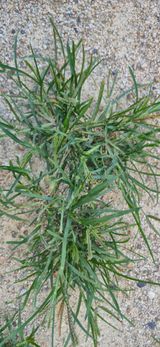 팜모닝 자유주제·자유게시판 게시글 이미지