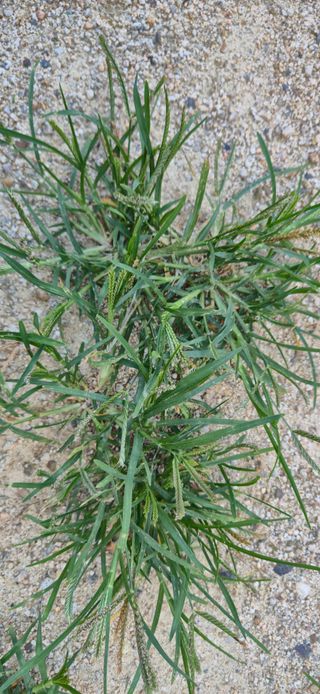 정인환님의 자유주제 · 자유게시판 작성글 사진