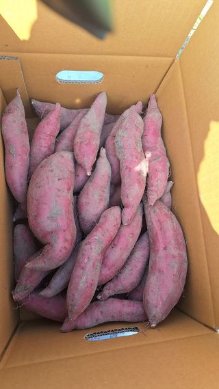 오남현님의 자유주제 · 자유게시판 작성글 사진