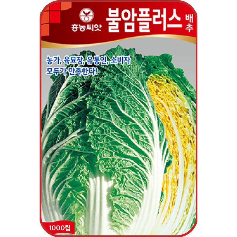 장터 상품 [[팜한농] 불암플러스 김장배추 1000립 / 김장배추 씨앗] 썸네일