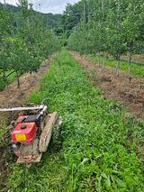 팜모닝 자유주제·자유게시판 게시글 이미지