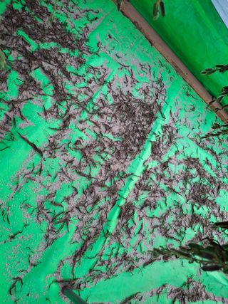 구봉갑산님의 자유주제 · 자유게시판 작성글 사진