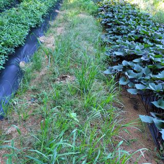 이창화님의 자유주제 · 자유게시판 작성글 사진