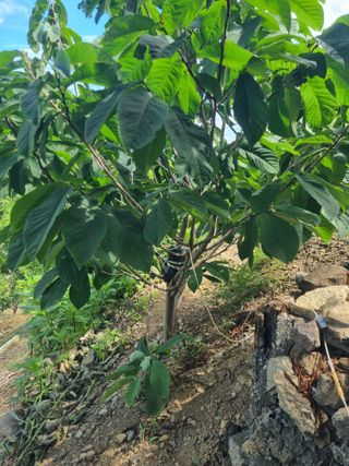 김용대님의 자유주제 · 자유게시판 작성글 사진