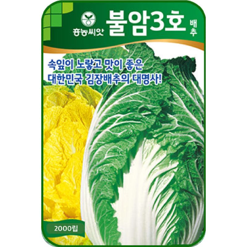 장터 상품 [[팜한농] 불암3호 김장배추 2000립 / 김장배추 씨앗] 썸네일