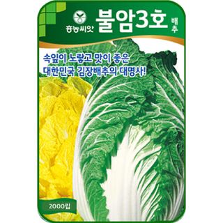 주주씨앗님의 작성글 사진