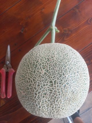 박린님의 자유주제 · 자유게시판 작성글 사진