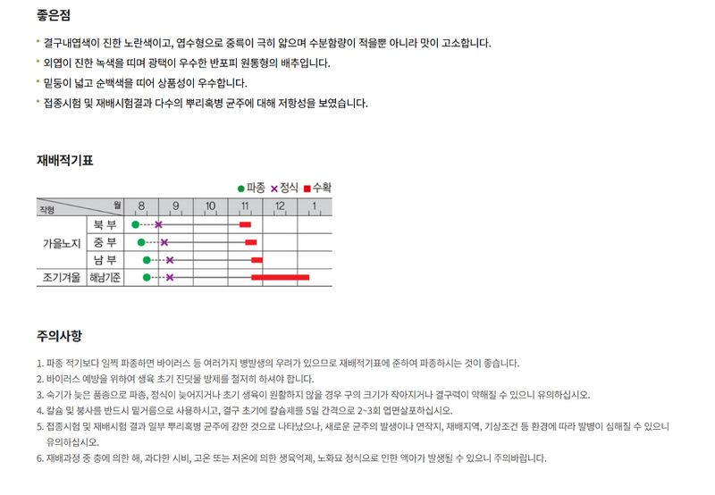 주주씨앗님의 장터 판매 상품 [[팜한농] 불암3호 김장배추 2000립 / 김장배추 씨앗] 첨부 사진
