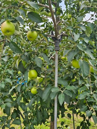 손기홍님의 자유주제 · 자유게시판 작성글 사진