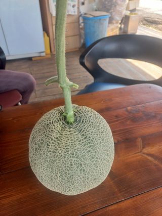 박린님의 자유주제 · 자유게시판 작성글 사진