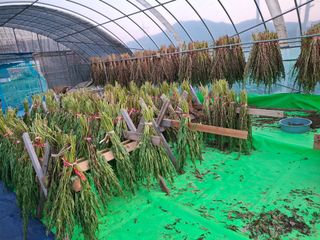 구봉갑산님의 자유주제 · 자유게시판 작성글 사진