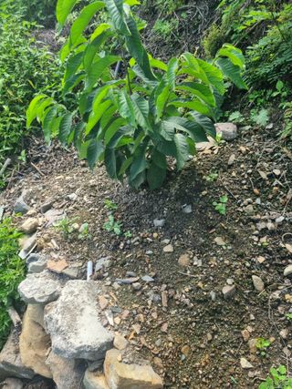 김용대님의 자유주제 · 자유게시판 작성글 사진