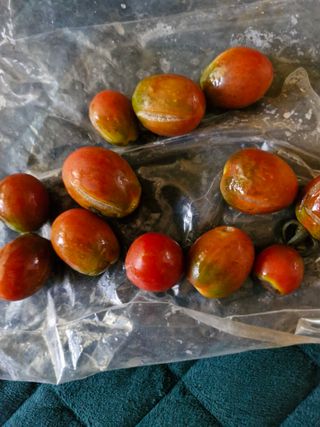 종이박님의 자유주제 · 자유게시판 작성글 사진