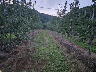 손기홍님의 자유주제 · 자유게시판 작성글 사진