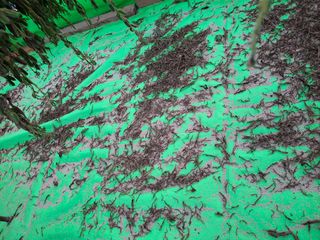 구봉갑산님의 자유주제 · 자유게시판 작성글 사진