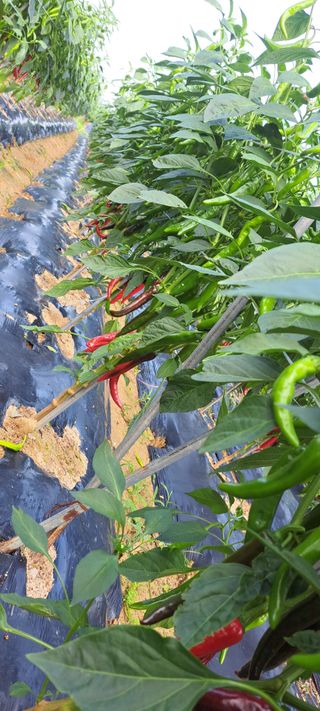 콩18930님의 자유주제 · 자유게시판 작성글 사진