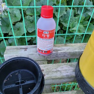 이창화님의 자유주제 · 자유게시판 작성글 사진