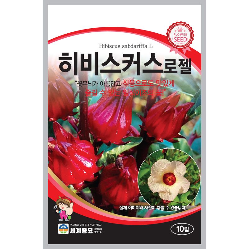 장터 상품 [[세계] 히비스커스 로젤 10립 / 히비스커스 로젤 씨앗] 썸네일