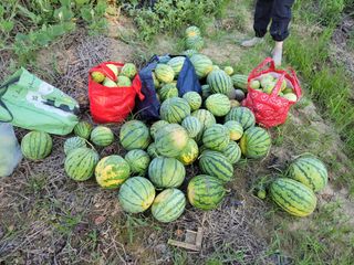 원빈님의 자유주제 · 자유게시판 작성글 사진