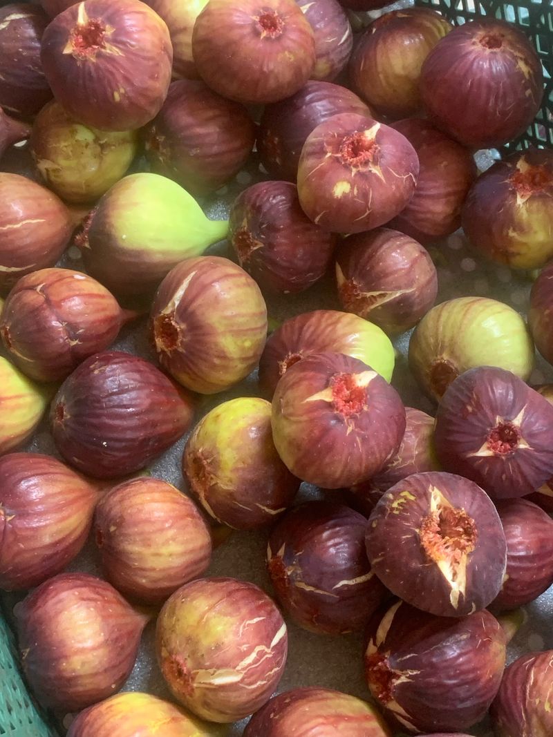 장터 상품 [무화과 1kg25.000원] 썸네일