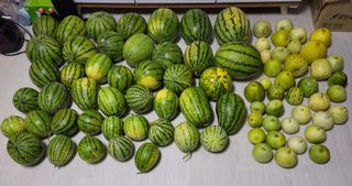 원빈님의 자유주제 · 자유게시판 작성글 사진