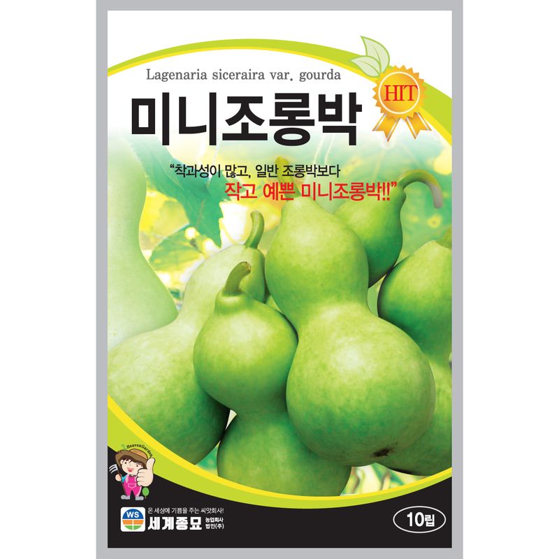 장터 상품 [[세계] 미니 조롱박 10립 / 관상용 조롱박 씨앗 ] 썸네일