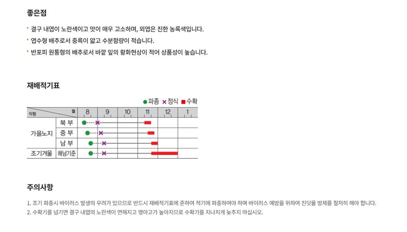 주주씨앗님의 장터 판매 상품 [[팜한농] 불암3호 김장배추 2000립 / 김장배추 씨앗] 첨부 사진