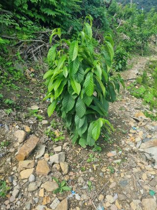 김용대님의 자유주제 · 자유게시판 작성글 사진
