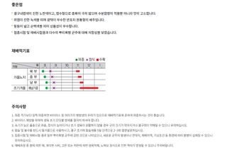 주주씨앗님의 작성글 사진