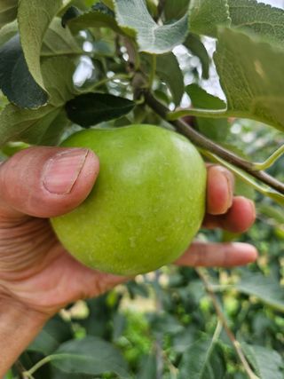 손기홍님의 자유주제 · 자유게시판 작성글 사진