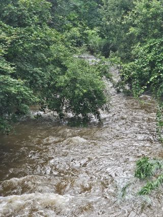 손기홍님의 자유주제 · 자유게시판 작성글 사진