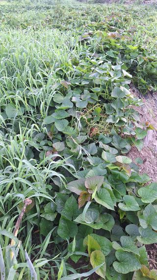 오남현님의 자유주제 · 자유게시판 작성글 사진