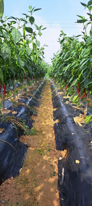 콩18930님의 자유주제 · 자유게시판 작성글 사진