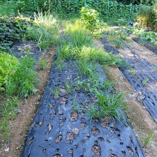 이창화님의 자유주제 · 자유게시판 작성글 사진