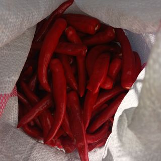 오화순님의 자유주제 · 자유게시판 작성글 사진