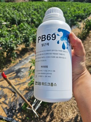 대산농사대장님의 고추 · 비료•농약 작성글 사진