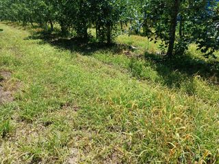 알 수 없음님의 자유주제 · 자유게시판 작성글 사진