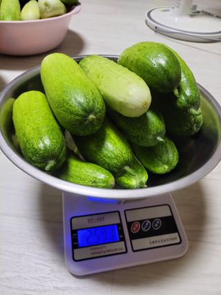 원빈님의 자유주제 · 자유게시판 작성글 사진