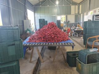 서툰 농부짱님의 자유주제 · 자유게시판 작성글 사진