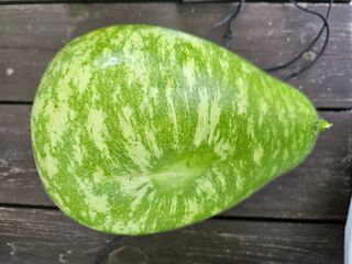 최연재님의 자유주제 · 자유게시판 작성글 사진